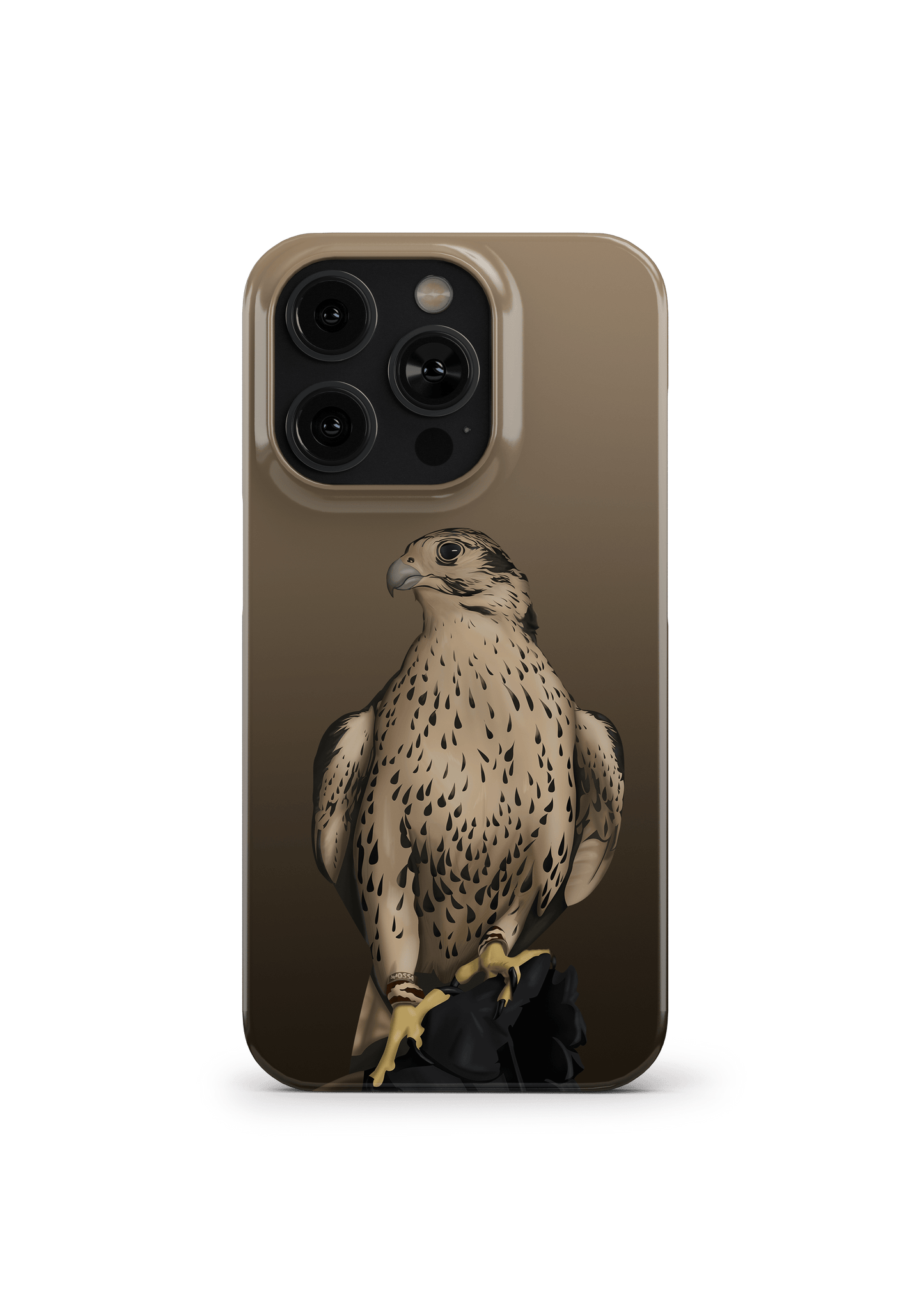 FALCONRY