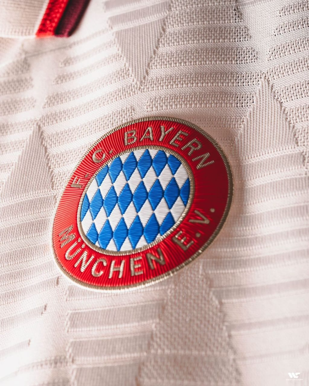 FC Bayern Munchen 2024 Third Jersey